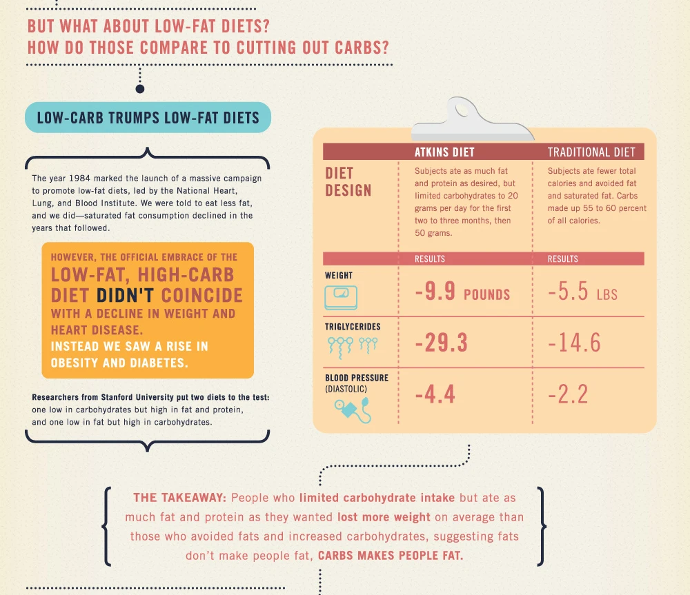 an infographic depicting low-carb vs low-fat diets and weightloss